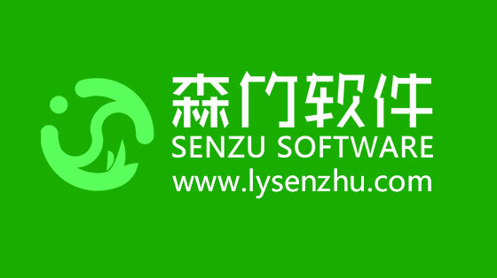 選擇森竹軟件服務(wù)，開發(fā)少走很多彎路！